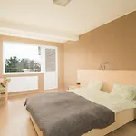Kaskada & Comfort Apartment Jastrzebia Gora